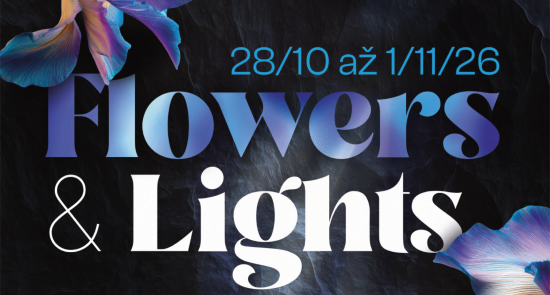 Flowers & Lights
